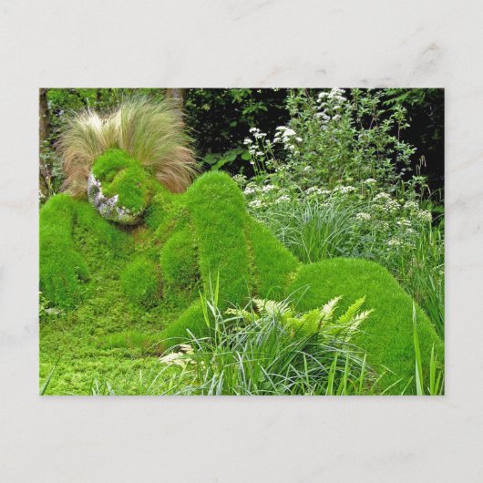 Grasweibchen Postkarte (Vorderseite)