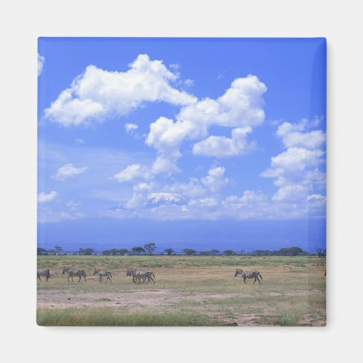 grasy Schlicht Magnet (Vorne)