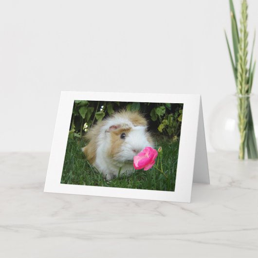 GRATEFUL GERBIL GLÜCKLICH IST ES "DEIN" GEBURTSTAG KARTE (Vorderseite)