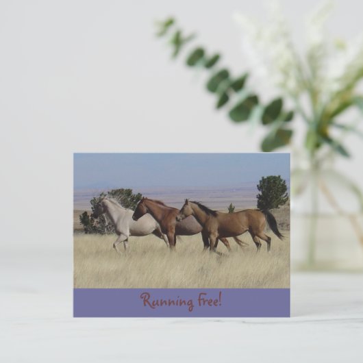 Gratis-Postkarte Postkarte (Stehend Vorderseite)