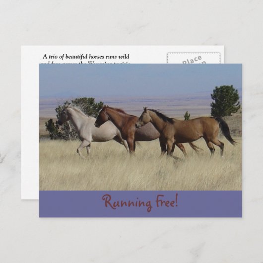 Gratis-Postkarte Postkarte (Vorne/Hinten)