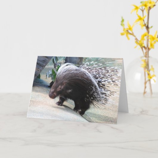 Gratiskarte Porcupine Karte (Gelbe Blume)