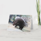 Gratiskarte Porcupine Karte (Vorderseite)