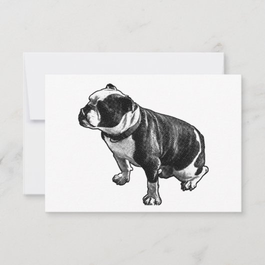 Gratitude Without Noise Dankeskarte (Vorderseite)