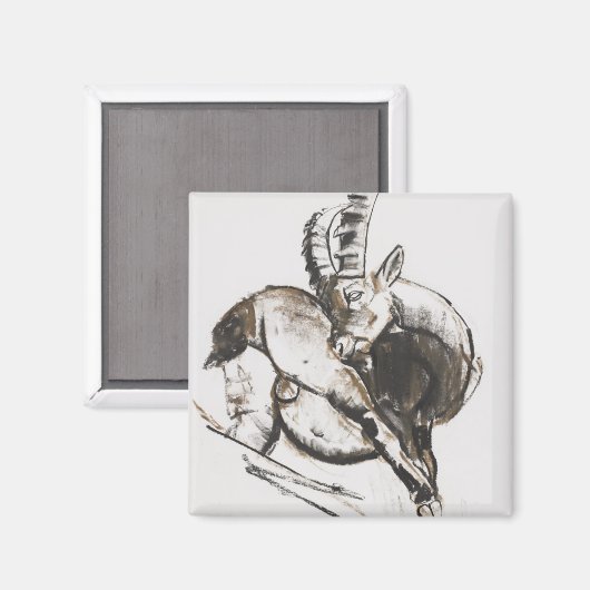 Grattarsi Magnet (Vorderseite/Rückseite)