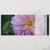 Grattis Önskar graben alle lycka idag CC0767 (Rückseite)