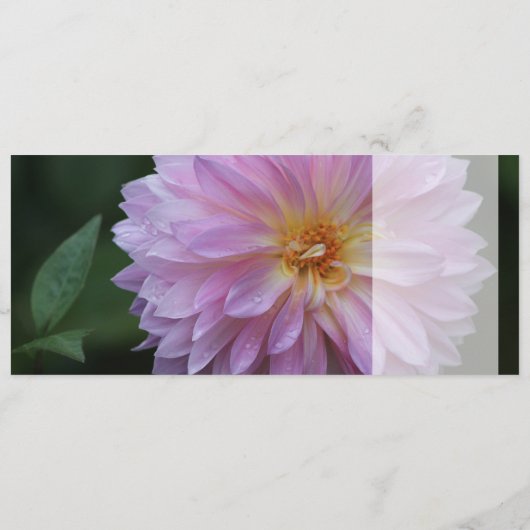 Grattis Önskar graben alle lycka idag CC0767 (Rückseite)