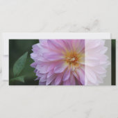 Grattis Önskar graben alle lycka idag CC0767 (Rückseite)