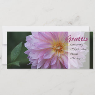 Grattis Önskar graben alle lycka idag CC0767