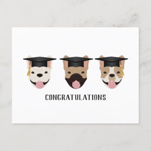 Gratulation an French Bulldogs Postkarte