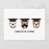 Gratulation an French Bulldogs Postkarte (Vorderseite)