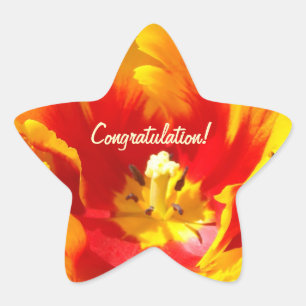 Gratulation! Aufkleber Rote Gelbe Tulpen Blumen