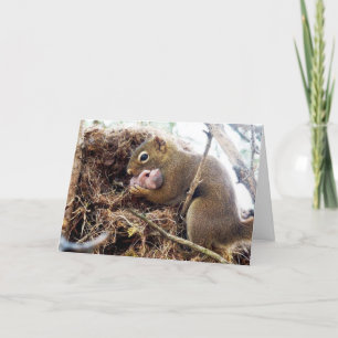 Gratulation Neue Mommy Baby Card Feiertagskarte