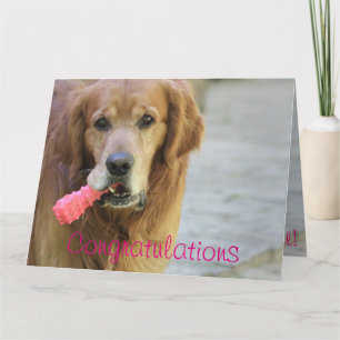 Gratulation New Baby Girl Karte