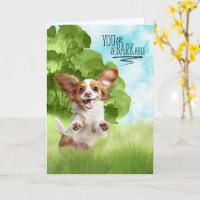 Gratulation reBARKable Cavalier King Charles