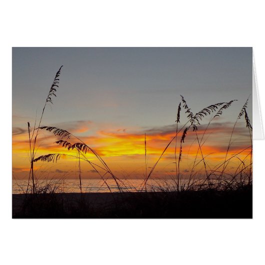 Gratulation Sunset and Sea Oats Grußkarte (Vorderseite (Horizontal))