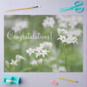 Gratulation Tissue Papaer Seidenpapier (Basteln)