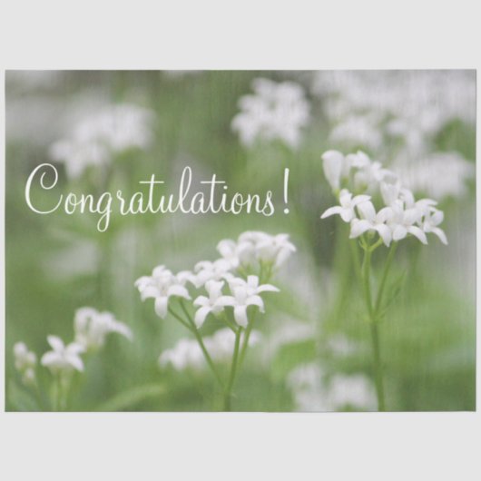 Gratulation Tissue Papaer Seidenpapier (Vorderseite)