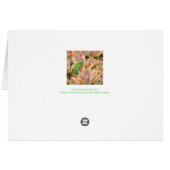 GRATULATIONEN/ICH BIN MIT ENVY/GRÜNEN LIZARD GRÜNE (Rückseite Horizontal)