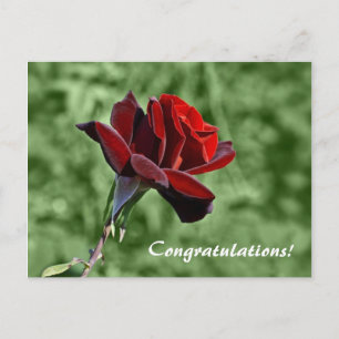 Gratulationskarte Postkarte
