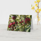 Gratulatorkarte "Apfelbaum" Karte (Gelbe Blume)