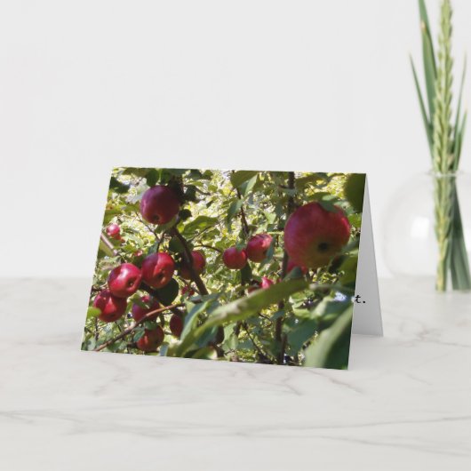 Gratulatorkarte "Apfelbaum" Karte (Vorderseite)