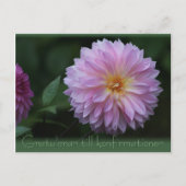 Gratulerar bis konfirmationen CC0503 Postkarte (Vorderseite)