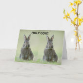 **GRATULIERUNG DES UNI-GRADUATS** KARTE (Gelbe Blume)