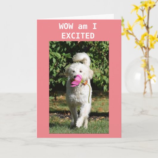 GRATULIERUNGEN ZU IHRER **NEUEN ZUHAUSE** KARTE (Gelbe Blume)