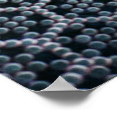 Grau-Abbildung Poster (Ecke)