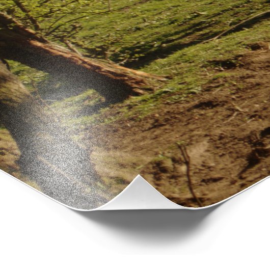 Grau auf Tarvit Farm Fotodruck (Ecke)