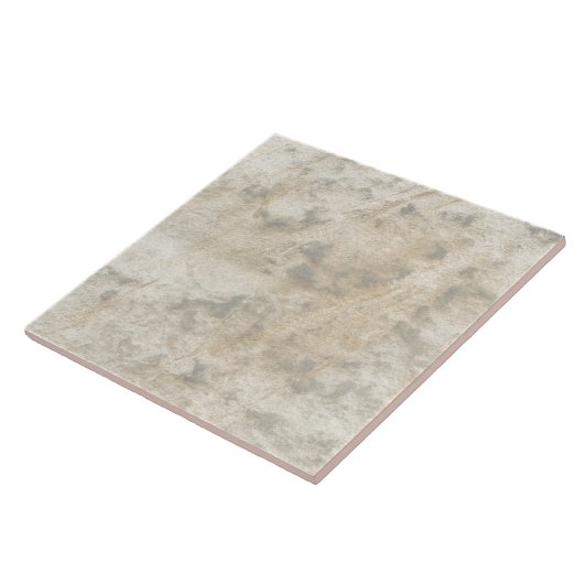 Grau Beige Marbleized Tile Fliese (Seite)