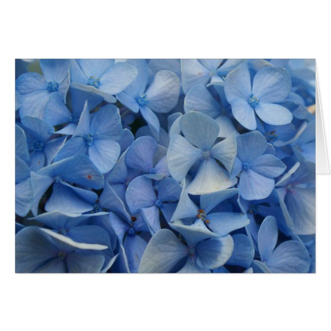 Grau-Blau (Vorderseite (Horizontal))