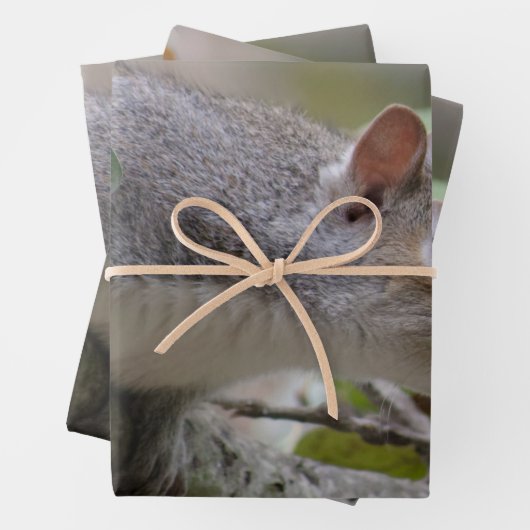 Grau-Eichhörnchen Behalte Geschenkpapier Set (Beispiel)