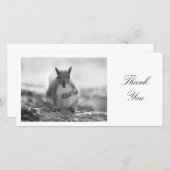 Grau Eichhörnchen BW - Danke (Vorne/Hinten)