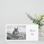 Grau Eichhörnchen BW - Danke (Stehend Vorderseite)