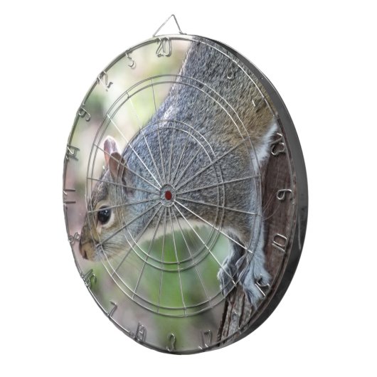 Grau-Eichhörnchen-Dartboard Dartscheibe (Vorderseite rechts)