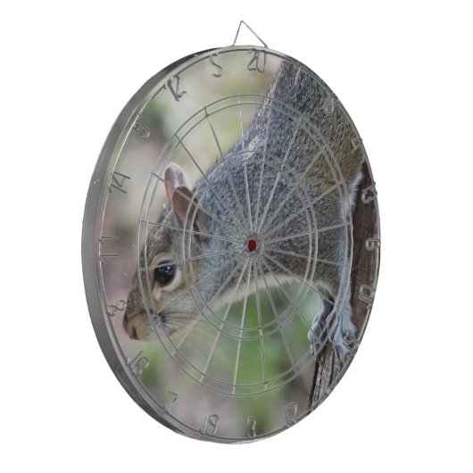 Grau-Eichhörnchen-Dartboard Dartscheibe (Vorderseite Links)