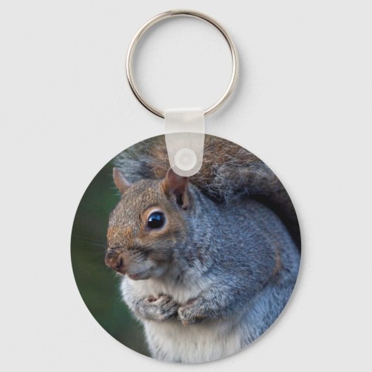 Grau-Eichhörnchen-Keyring Schlüsselanhänger (Vorderseite)