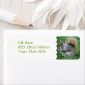 Grau-Eichhörnchen-Mailing-Labels (Insitu)