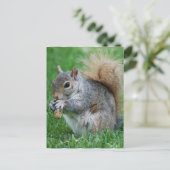 Grau-Eichhörnchen-Postkarte Postkarte (Stehend Vorderseite)