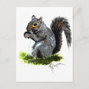 Grau-Eichhörnchen-Postkarte Postkarte
