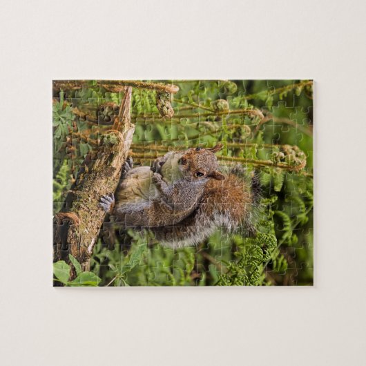 Grau-Eichhörnchen-Puzzle/Jigsaw mit Zinn Puzzle (Horizontal)