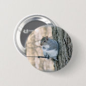 Grau-Eichhörnchen - Sciurus carolinensis Button (Vorne & Hinten)