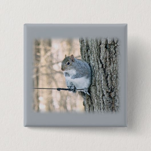 Grau-Eichhörnchen - Sciurus carolinensis Button (Vorderseite)