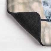 Grau-Eichhörnchen - Sciurus carolinensis Mousepad (Ecke)