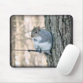 Grau-Eichhörnchen - Sciurus carolinensis Mousepad (Mit Mouse)