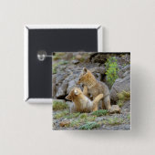 Grau-Fox-Paar (Lycalopex griseus) 2 Button (Vorne & Hinten)