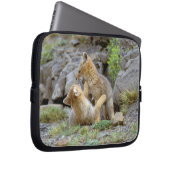 Grau-Fox-Paar (Lycalopex griseus) 2 Laptopschutzhülle (Vorne Rechts)