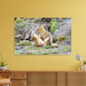 Grau-Fox-Paar (Lycalopex griseus) 2 Leinwanddruck (Insitu (Wohnzimmer))